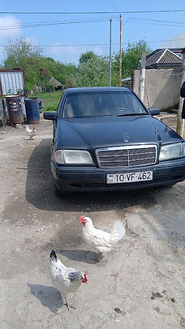 accent 1995: Mercedes-Benz C 180: 1.8 l | 1995 il Sedan — 1