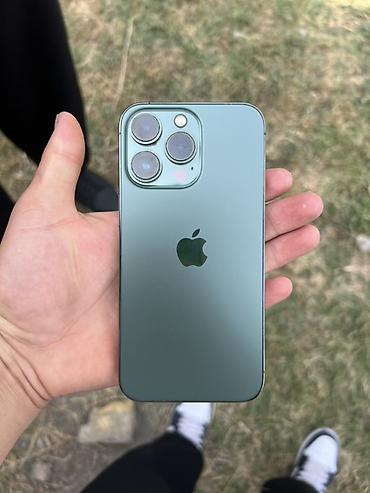 s25 plus: IPhone 13 Pro, Б/у, 128 ГБ, Alpine Green, Чехол, 79 % — 1