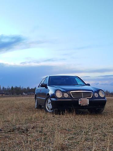матиз рф номер: Mercedes-Benz E-Class: 2000 г., 3.2 л, Механика, Бензин, Седан — 6