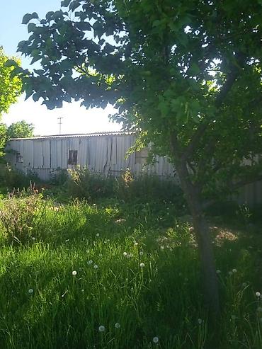 Продажа участков: 194 соток, Для бизнеса, Красная книга — 7