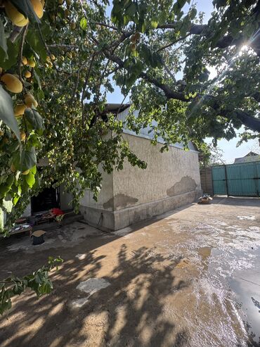 Продажа домов: Дом, 100 м², 5 комнат, Собственник — 11