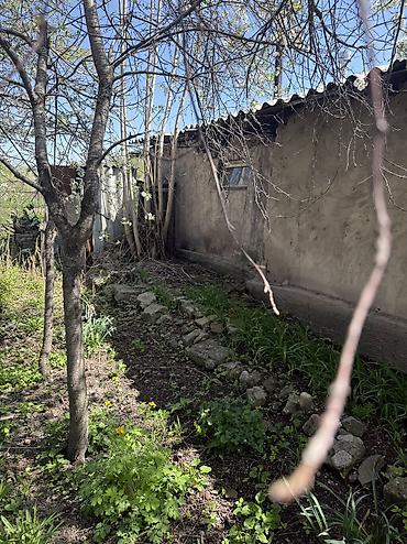 Продажа коттеджей и домов: Продается дом с участком 8,5 соток маевка Участок правильной формы — 21