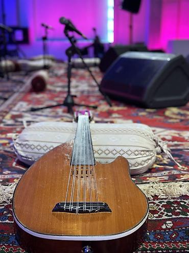 Akustik gitaralar: Godin Ud Türkiyədə yığılıb. İstifadə olunan ağaclar: Maun, Ladin və — 1