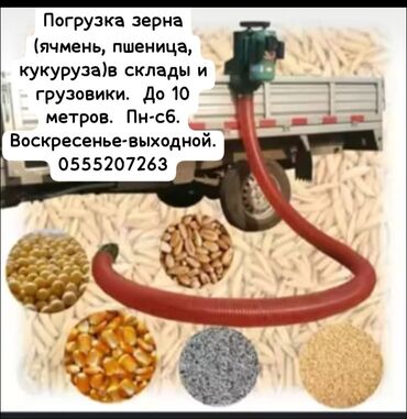 авто кран услуга: Погрузка зерна в склады,грузовики. График работы пн-сб. Воскресенье