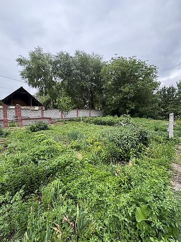 1 bedroom: 6 соток, Для строительства, Договор купли-продажи, Красная книга — 3