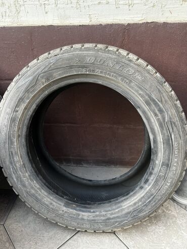 дом на колесо: Шины 205 / 55 / R 16, Зима, 1 шт, Легковые, Dunlop