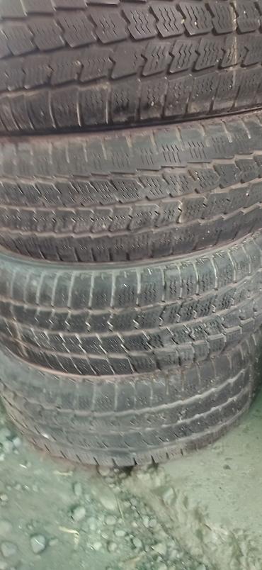 Шины: Шины 195 / 65 / R 15, Всесезонная, Б/у, Легковые, Германия — 13