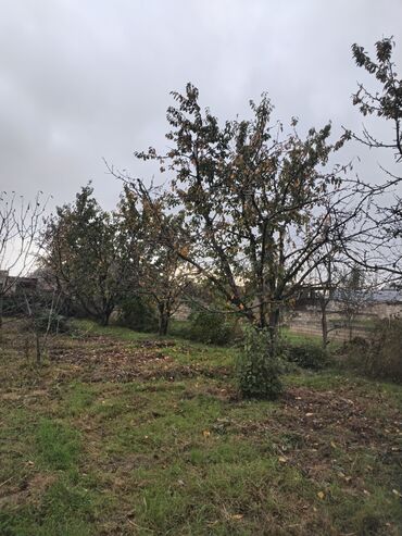 Kirayə torpaq sahələri: Kənd təsərrüfatı, Su — 7