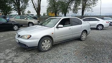 Продажа авто: Nissan Primera: 2001 г., 2 л, Автомат, Бензин, Седан — 1