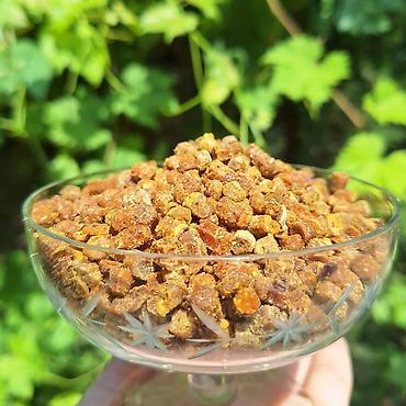 arpa unu satışı: Propolis, güləm, arı çörəyi (perqa) – təbii arıçılıq məhsulu Hər bir — 1