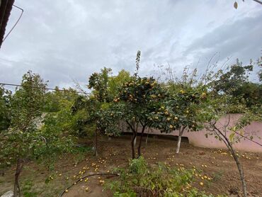 Həyət evləri və villaların satışı: Mərdəkan 4 otaqlı, 130 kv. m, Yeni təmirli — 17