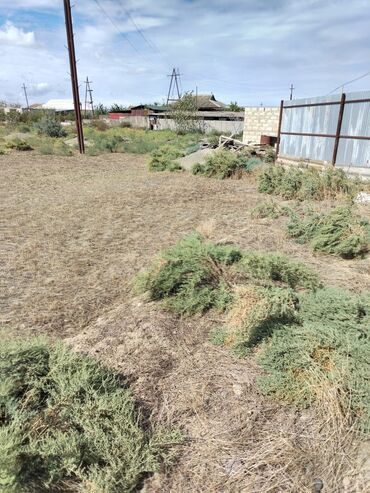 Torpaq sahələrinin satışı: 30 sot, Kənd təsərrüfatı, Mülkiyyətçi, Bələdiyyə — 2