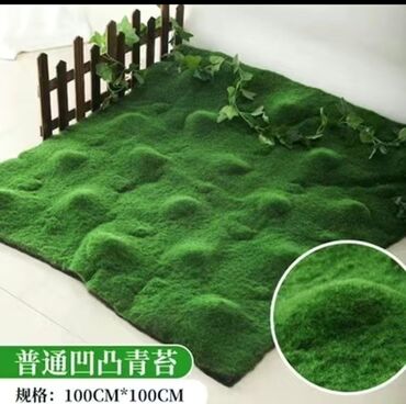 Digər bitkilər: Məhsul: Təbiətvi̇ zolaqlı yosun/mahov örtüyü – hazır plitələr Təsvir — 13