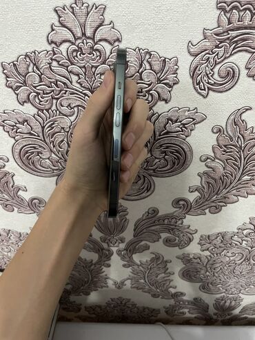 Apple iPhone: IPhone 13 Pro, Б/у, 128 ГБ, Защитное стекло, Чехол, Кабель, 83 % — 9