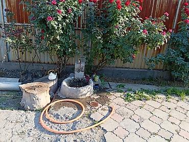 Продажа коттеджей и домов: 5 комнат, 4 м², 4 соток, Бишкек, Ак-Босого ж/м Собственник — 16