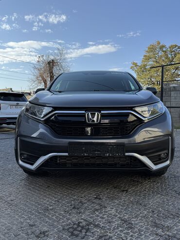 honda santa fe: Honda CR-V: 2020 г., 1.5 л, Автомат, Бензин, Внедорожник