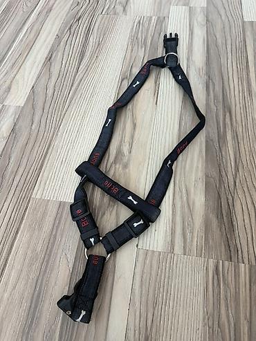 İt üçün sinə qayışı (harness) - Rəng: qara, üzərində “Bone” yazıları