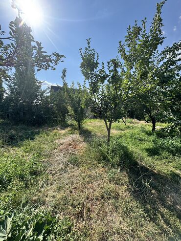 продаю участок на иссык куле село тамчы: 4 соток, Курулуш, Кызыл китеп, Техпаспорт, Сатып алуу-сатуу келишими