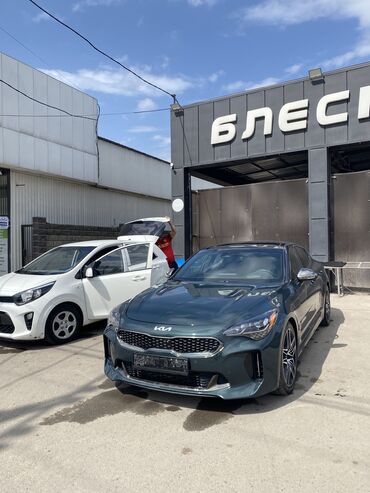 Kia: Kia : 2022 г., 3.3 л, Автомат, Бензин, Седан