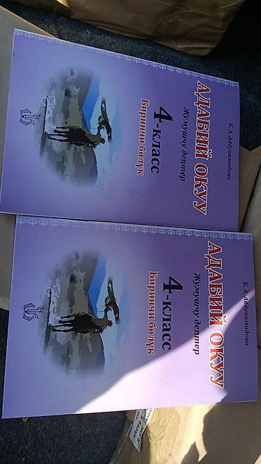 бир: Учебные пособия “Адабий окуу” (Литературное чтение) на кыргызском — 1