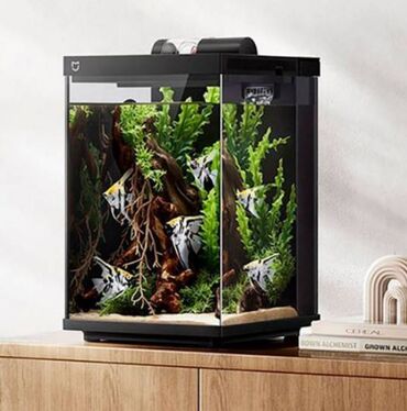 йоркширский терьер сколько стоит: Умный аквариум "Xiaomi" Mijia Desktop Smart Fish Tank 10L
