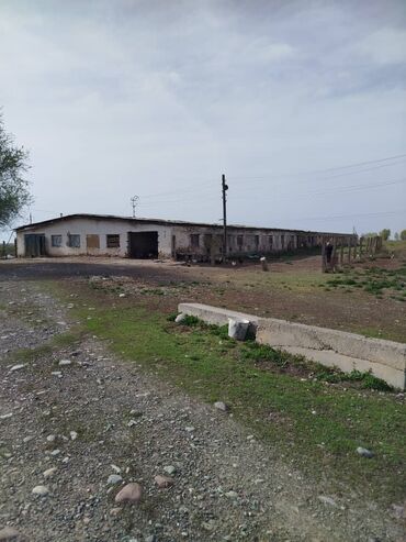 продаётся дом рабочий городок: Продаётся сельскохозяйственный объект с постройками и открытой
