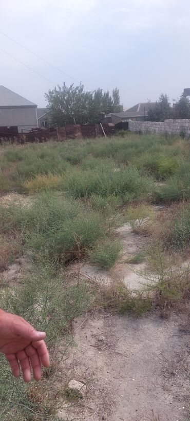 Torpaq sahələrinin satışı: 8 sot, Mülkiyyətçi, Bələdiyyə — 11