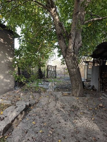 очень срочно дом: Дом, 80 м², 4 комнаты, Собственник, Косметический ремонт