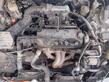 передний бампер опель вектра б: Бензиновый мотор Honda 1994 г., 2.3 л, Б/у, Оригинал, Япония