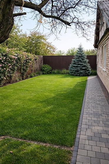 Другие услуги: Озеленение Участков с нуля и под ключ. Автоматические системы полива — 17