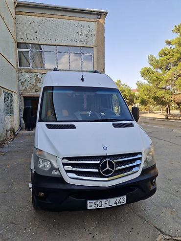 8 1 ford transit: Mikroavtobus, Bakı - 21 Oturacaq — 7