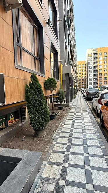 archa group: 1 комната, 52 м², Кок-Жар мкр Элитка, 7 этаж, ПСО (под самоотделку) — 1