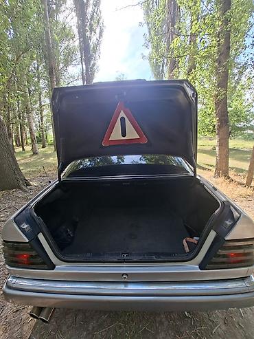 mers 202: Mercedes-Benz W124: 1994 г., 3.2 л, Автомат, Газ, Седан — 6