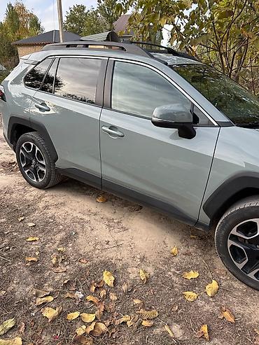 rav 4 2022: Toyota RAV4: 2019 г., Кроссовер — 3