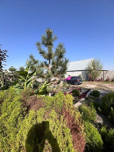 Продажа квартир: 5 и более комнат, 150 м² — 5