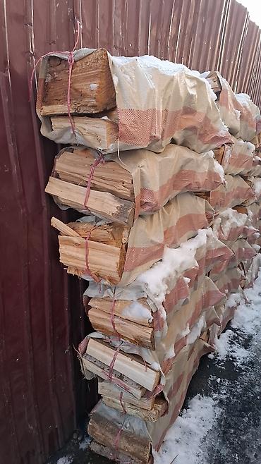 орех дрова: Кара кече( беш сары) отборный 800 средний 350, орешки 250, семечки — 3