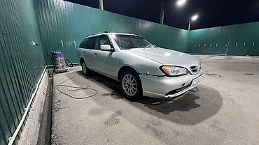 прозрачный стекло: Nissan Primera: 1999 г., 1.8 л, Механика, Бензин, Универсал — 1