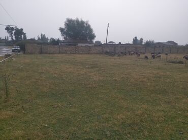 2 комнатные квартиры продажа: 5 sot, Tikinti, Barter mümkündür, Kupça (Çıxarış), Texniki pasport