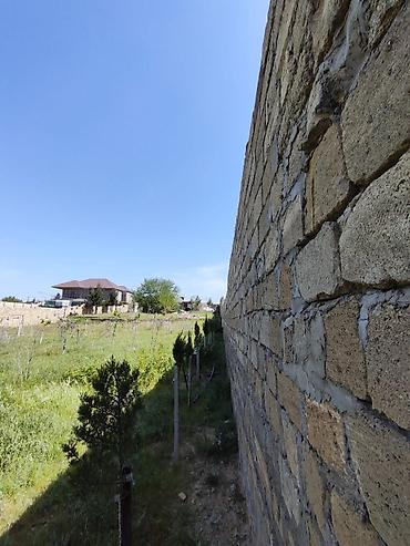 sibrizde evler: Bakı, Nardaran qəs., 185 kv. m, 7 otaqlı, Hovuzsuz, Artezian quyusu — 7