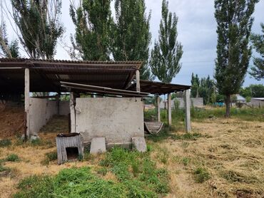 Продажа участков: 15 соток, Для строительства, Красная книга — 7