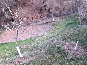 Bağ evlərinin satışı: Qusar, 64 kv. m, 2 otaqlı, Hovuzsuz, Artezian quyusu, Qaz, Kanalizasiya — 8