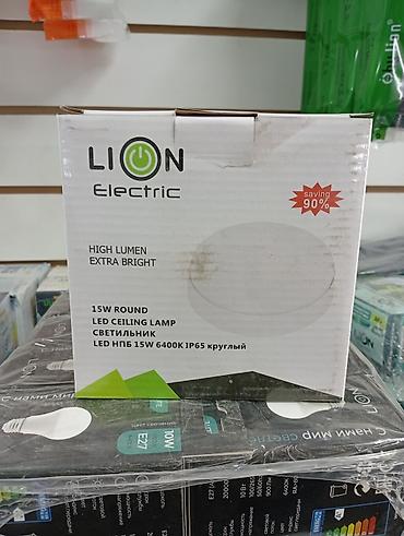 led projector: Светодиодный потолочный светильник LION Electric, круглый — 1