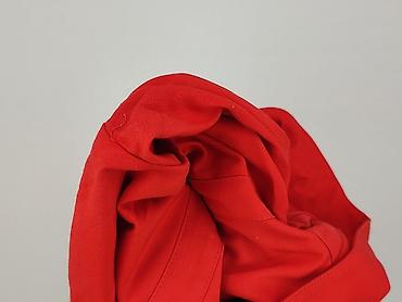 hm 4xl: Sfera, Sukienka damska, rozmiar 4XL — 5