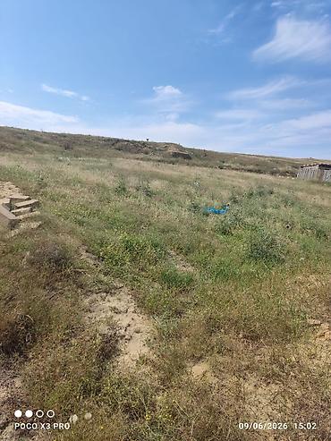 Torpaq sahələrinin satışı: 4 sot, Kənd təsərrüfatı, Mülkiyyətçi, Kupça (Çıxarış), Bələdiyyə — 6