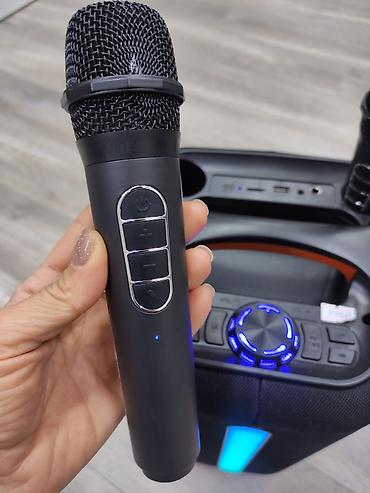 bud e2: КАРАОКЕ СИСТЕМА ДЛЯ ВЕЧЕРИНОК ABS-6205 с 2-мя беспроводными — 4