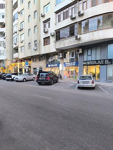 Uzunmüddətli kirayə mənzillər: Salam, Kirayyə Təzə Tikili Gənclik Metrosuna + Atatürk Parkına Çox — 19