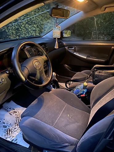 jelly машина: Toyota Corolla: 2003 г., 1.6 л, Механика, Бензин, Универсал — 5
