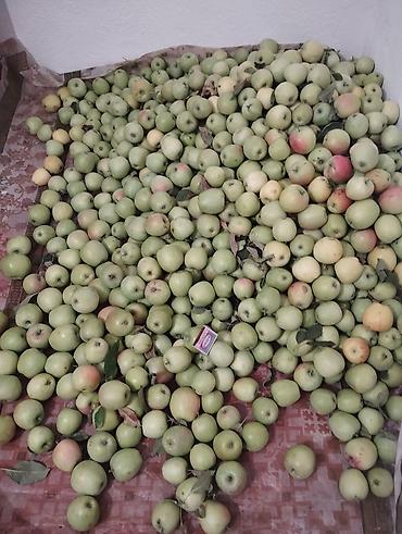продукты питания оптом от производителя: Яблоки В розницу — 2