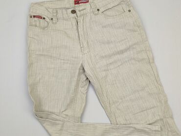 Trousers: Chinos for men, L (EU 40), condition - Good