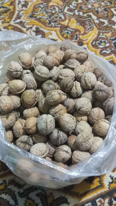 медицинская мебель бишкек: Продам орехи обр вайцап КАРАКОЛ at lalafo.kg медицинская мебель бишкек: Продам орехи обр вайцап КАРАКОЛ